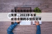 石家庄有哪些赚钱的小生意，2023年石家庄适合做的小型投资项目一览