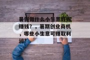 暑假做什么小生意好呢赚钱？，暑期创业商机，哪些小生意可赚取利润?