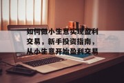 如何做小生意实现盈利交易，新手投资指南，从小生意开始盈利交易