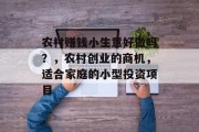 农村赚钱小生意好做吗？，农村创业的商机，适合家庭的小型投资项目