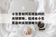小生意如何实现盈利的关键策略，低成本小生意盈利关键策略分享