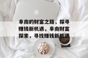 阜南的财富之路，探寻赚钱新机遇，阜南财富探索，寻找赚钱新机遇