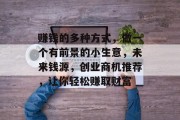赚钱的多种方式，做一个有前景的小生意，未来钱源，创业商机推荐，让你轻松赚取财富