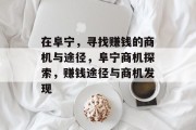 在阜宁，寻找赚钱的商机与途径，阜宁商机探索，赚钱途径与商机发现