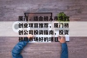 厦门，适合初入市场的创业项目推荐，厦门初创公司投资指南，投资初期市场好的项目