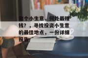 做个小生意，何处最赚钱？，寻找投资小生意的最佳地点，一份详细报告