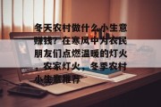 冬天农村做什么小生意赚钱？在寒风中为农民朋友们点燃温暖的灯火，农家灯火，冬季农村小生意推荐