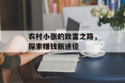 农村小张的致富之路，探索赚钱新途径