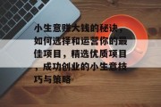 小生意赚大钱的秘诀，如何选择和运营你的最佳项目，精选优质项目，成功创业的小生意技巧与策略