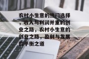 农村小生意的热门选择，收入与利润并重的创业之路，农村小生意的创业之路，盈利与发展的平衡之道