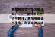 新加坡投资小生意赚钱吗？——一份详细的分析与探讨，新加坡投资小生意，利润来源与挑战