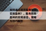 如何通过提供服务软件实现盈利？，服务软件盈利的实现途径，策略与技巧解析