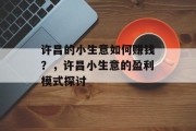 许昌的小生意如何赚钱？，许昌小生意的盈利模式探讨