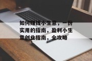 如何赚钱小生意，一份实用的指南，盈利小生意创业指南，全攻略