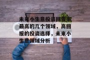 未来小生意投资回报率最高的几个领域,高回报的投资选择,未来小生意领域分析