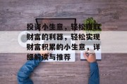 投资小生意，轻松赚取财富的利器，轻松实现财富积累的小生意，详细解读与推荐