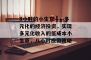 8小时的小生意——多元化的经济投资，实现多元化收入的低成本小生意，八小时投资策略