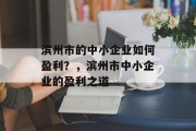 滨州市的中小企业如何盈利？，滨州市中小企业的盈利之道