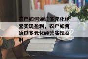 农户如何通过多元化经营实现盈利，农户如何通过多元化经营实现盈利