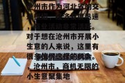 沧州市作为河北省的交通枢纽，经济发展迅速，商业活动非常活跃。对于想在沧州市开展小生意的人来说，这里有很多值得选择的机会。，沧州市，商机无限的小生意聚集地