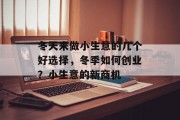 冬天来做小生意的几个好选择，冬季如何创业？小生意的新商机