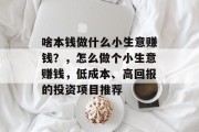 啥本钱做什么小生意赚钱？，怎么做个小生意赚钱，低成本、高回报的投资项目推荐