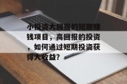小投资大回报的短期赚钱项目，高回报的投资，如何通过短期投资获得大收益？