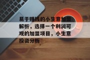 易于赚钱的小生意加盟解析，选择一个利润可观的加盟项目，小生意投资分析