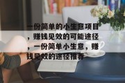 一份简单的小生意项目，赚钱见效的可能途径，一份简单小生意，赚钱见效的途径推荐
