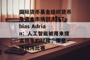 国际货币基金组织货币及资本市场部主任Tobias Adrian：人工智能被用来提高效率的时候，像是一场拔河比赛