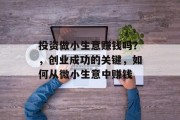 投资做小生意赚钱吗？，创业成功的关键，如何从微小生意中赚钱