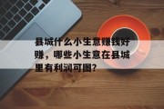 县城什么小生意赚钱好赚，哪些小生意在县城里有利润可图？