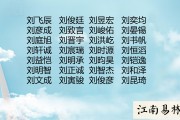 刘的创意名字