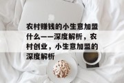 农村赚钱的小生意加盟什么——深度解析，农村创业，小生意加盟的深度解析