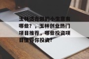 玉林适合做的小生意有哪些？，玉林创业热门项目推荐，哪些投资项目值得你投资?