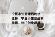 宁夏小生意赚钱的热门选择，宁夏小生意盈利推荐，热门创业项目