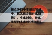 在众多的小本创业项目中，你又适合做什么赚钱？，小本创业，什么类型的小本创业好赚钱?