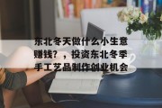 东北冬天做什么小生意赚钱？，投资东北冬季手工艺品制作创业机会