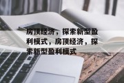 房顶经济，探索新型盈利模式，房顶经济，探索新型盈利模式