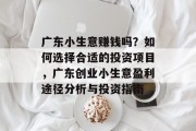 广东小生意赚钱吗？如何选择合适的投资项目，广东创业小生意盈利途径分析与投资指南