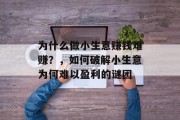 为什么做小生意赚钱难赚？，如何破解小生意为何难以盈利的谜团