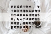 百万头脑生财术——关于如何选择和实施合适的小项目来实现财富积累，万元小项目助你积累财富，聪明的选择与有效的实践方法