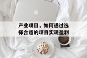 产业项目，如何通过选择合适的项目实现盈利