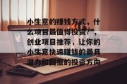 小生意的赚钱方式，什么项目最值得投资？，创业项目推荐，让你的小生意快速赚钱的最具潜力和回报的投资方向