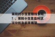 莱阳的小生意赚钱多吗？，莱阳小生意盈利状况分析及前景展望