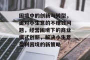 困境中的创新与转型，面对小生意的不赚钱问题，经营困境下的商业模式创新，解决小生意盈利困境的新策略
