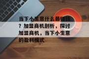 当下小生意什么最赚钱？加盟商机剖析，探讨加盟商机，当下小生意的盈利模式