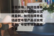 母婴市场，如何选择并成功运营母婴产品以实现盈利，如何选择并成功运营母婴产品以实现盈利，母婴市场的策略之道