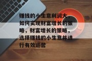 赚钱的小生意利润大，如何实现财富增长的策略，财富增长的策略，选择赚钱的小生意并进行有效运营