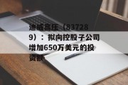 迪威高压（837289）：拟向控股子公司增加650万美元的投资额